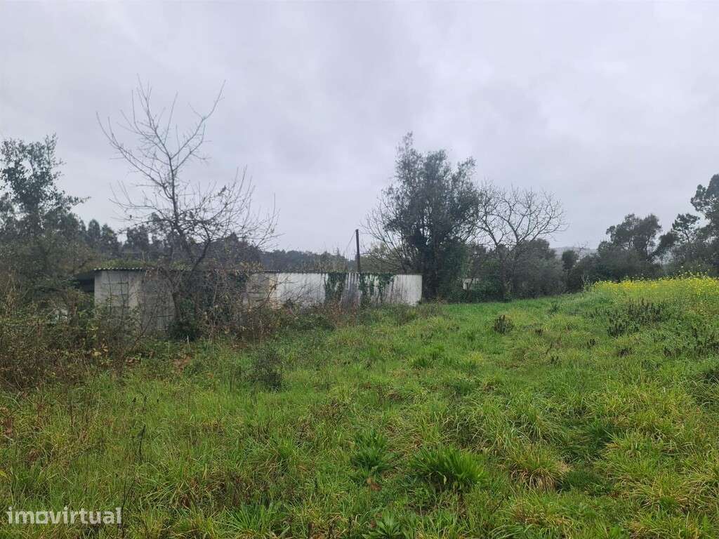 Terreno para construção em zona de Vila Nova de Poiares - Grande imagem: 3/3