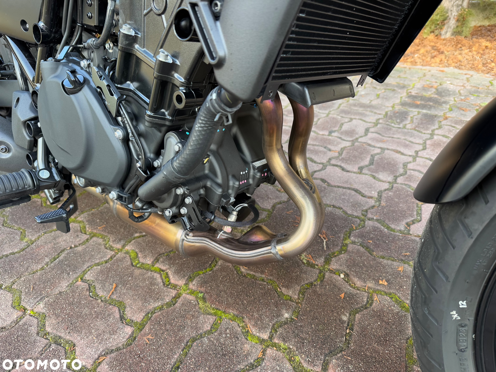 Kawasaki Eliminator 500 - 8