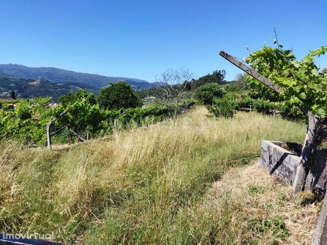 Terreno / Baião, Ancede e Ribadouro - Grande imagem: 5/13