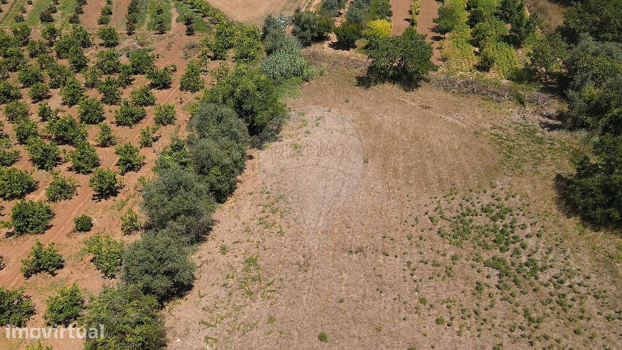 Terreno  para venda - Grande imagem: 3/4