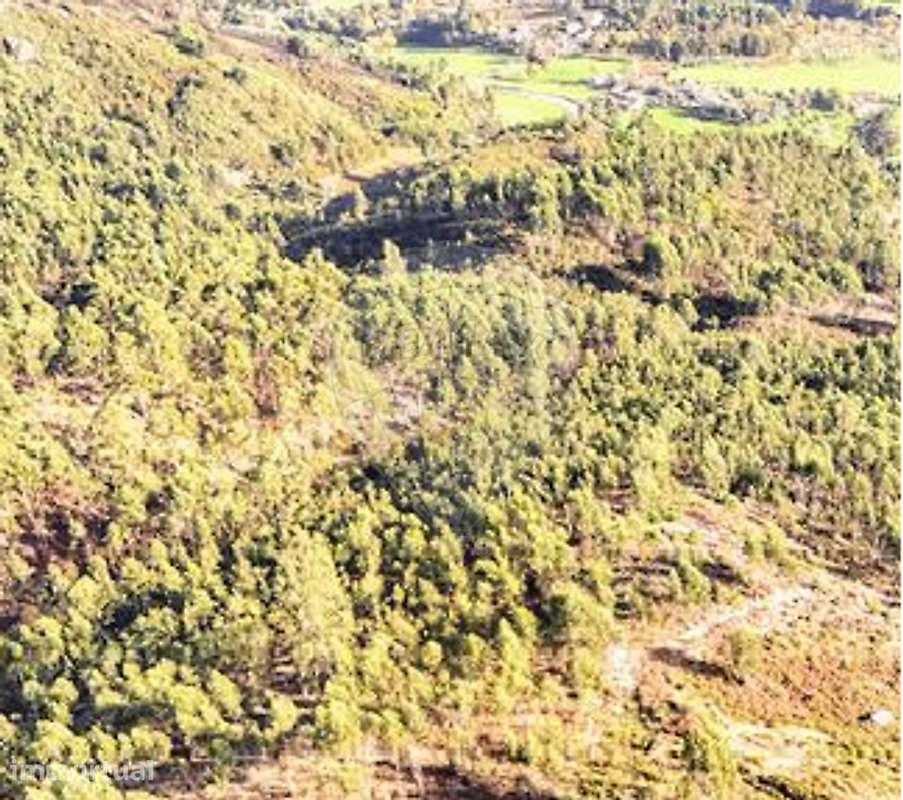 Terreno  para venda - Grande imagem: 2/3