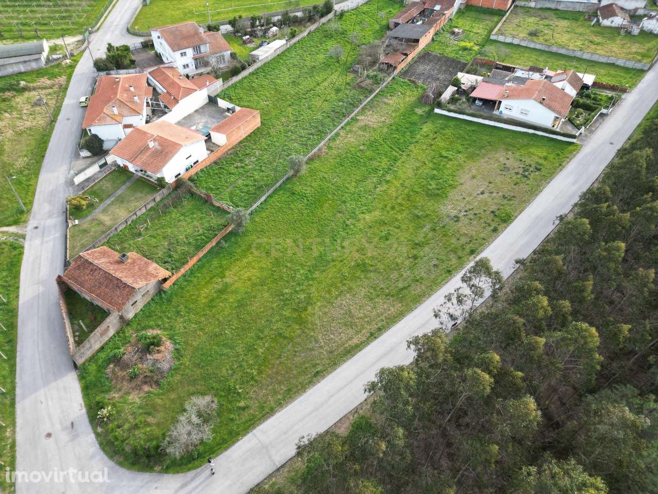 Terreno de 1.457 m² com Excelente Frente de Estrada – Oportunidade Úni - Grande imagem: 3/9