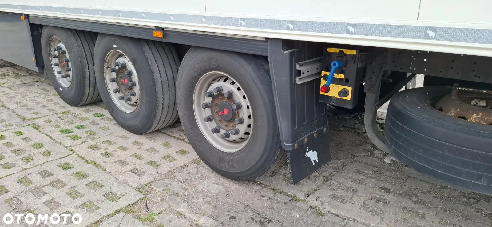 Schmitz Cargobull - 5