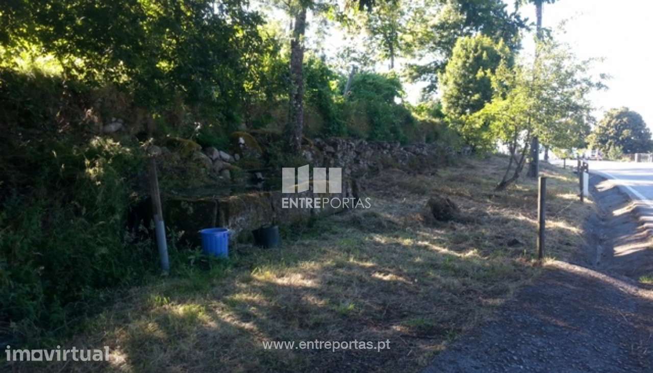 Venda Terreno, Tendais, Cinfães - Grande imagem: 4/30
