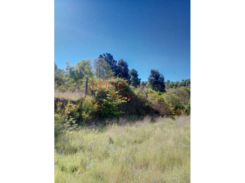 Terreno para venda em Lamego. - Grande imagem: 3/13