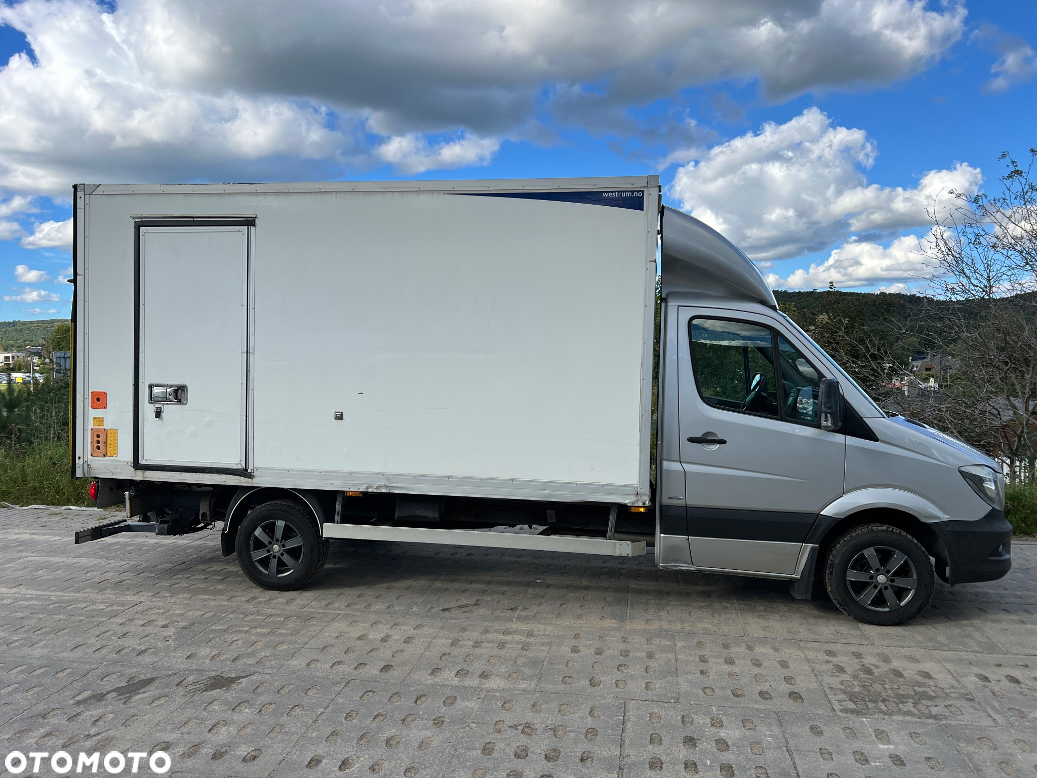 Mercedes-Benz Sprinter 316 CDI 906.231 - 12