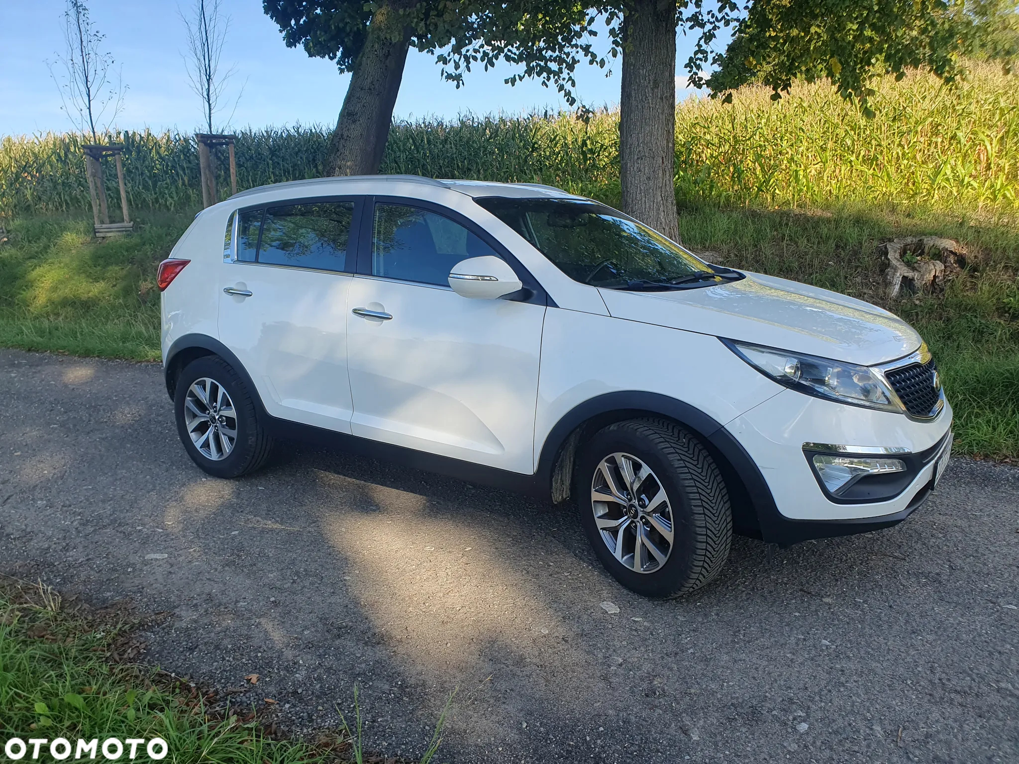 Kia Sportage 1.6 GDI Business Line 2WD - 27