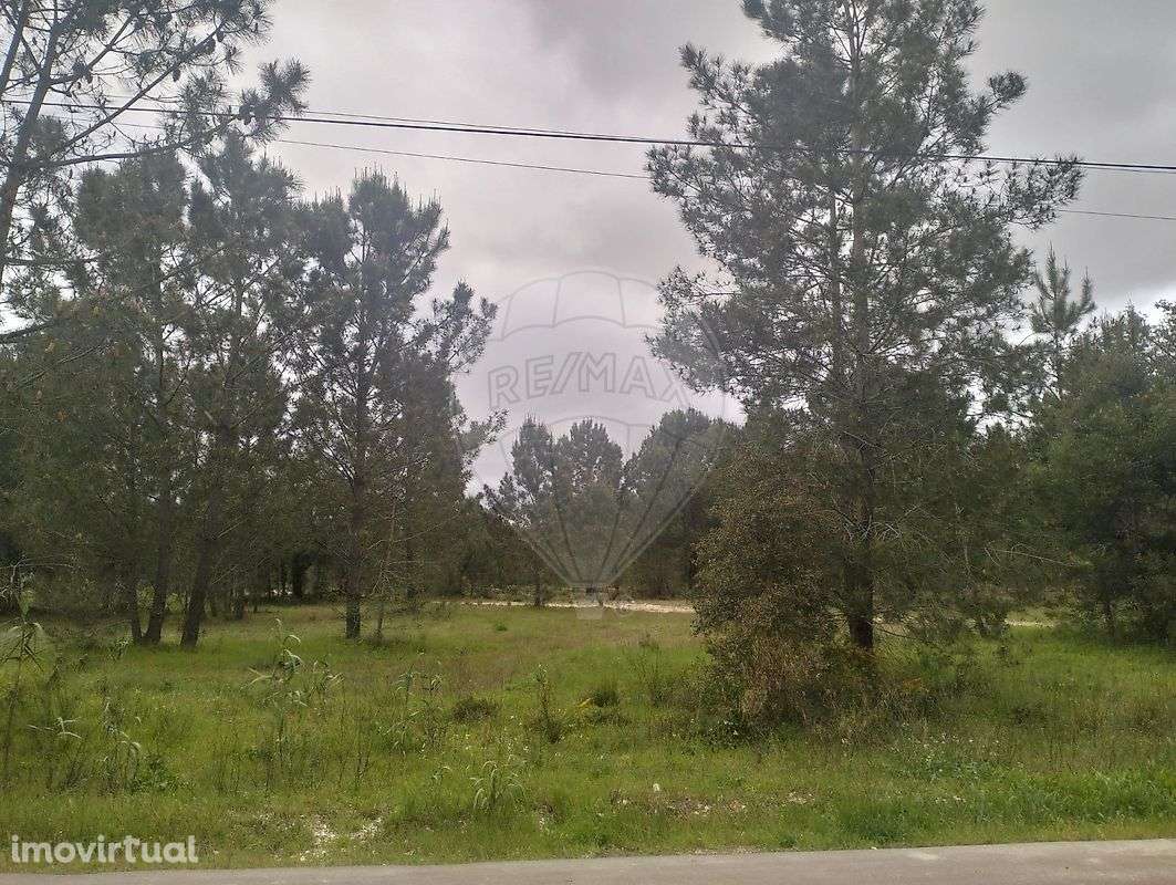 Terreno  para venda - Grande imagem: 5/8