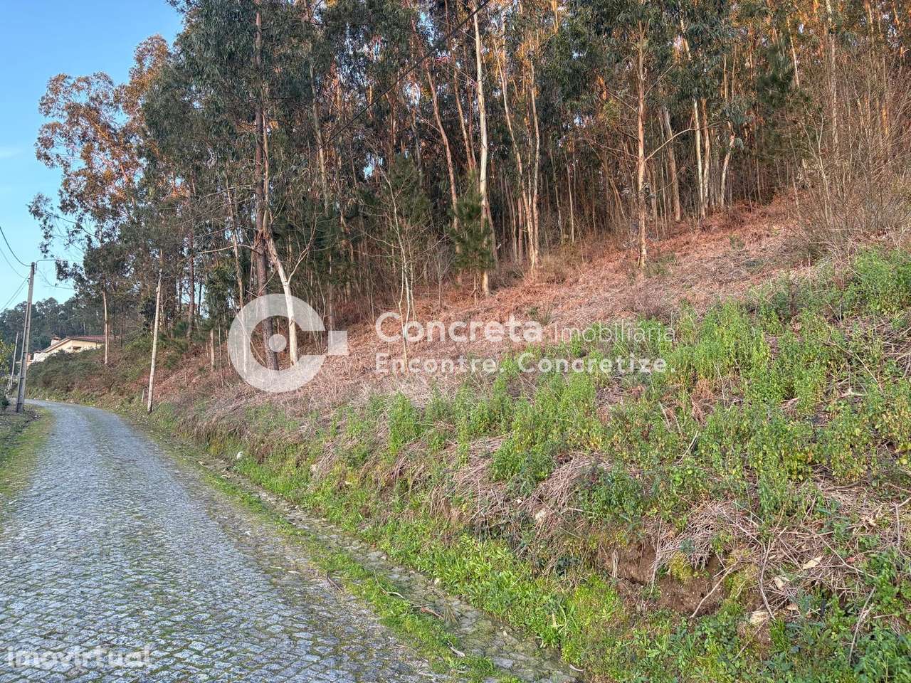 Terreno para construção em Moure, Barcelos - Grande imagem: 4/7