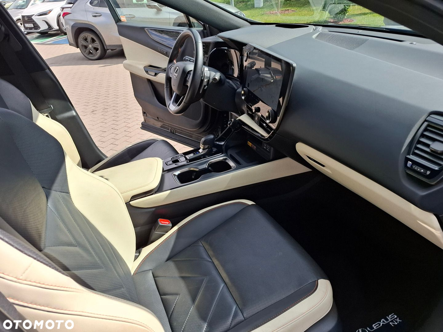 Lexus NX - 19
