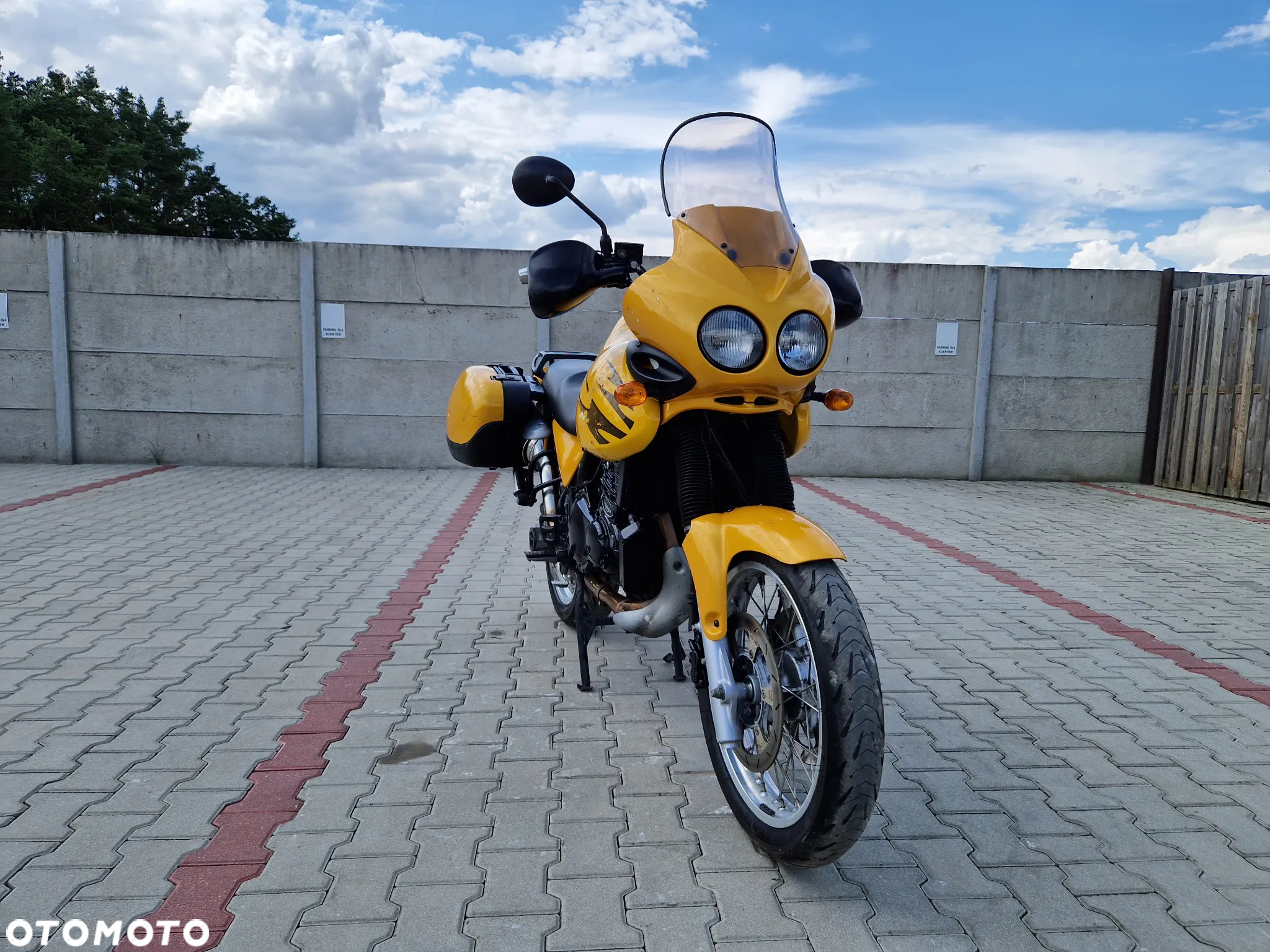 Triumph Tiger - 9