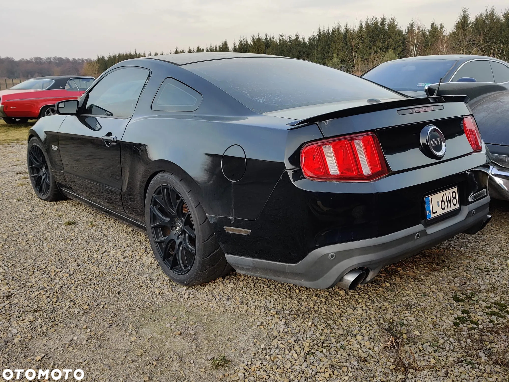 Ford Mustang 5.0 V8 GT Premium - 2