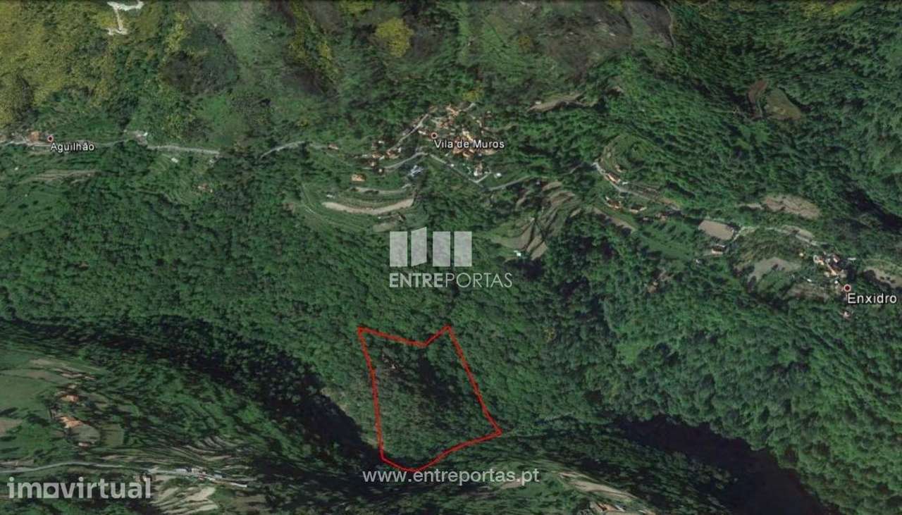 Venda Propriedade, Tendais, Cinfães - Grande imagem: 2/9