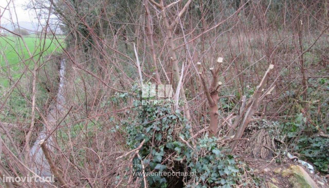 Venda de Terreno em Rio Mau, Vila do Conde - Grande imagem: 4/5