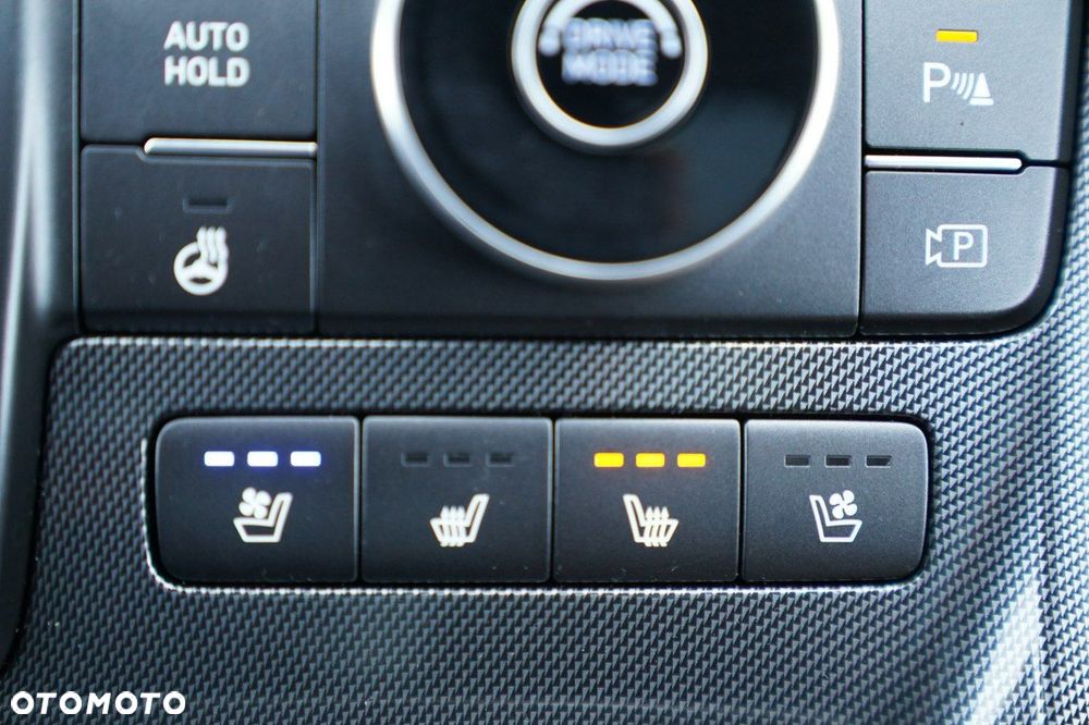 Hyundai Santa Fe - 30