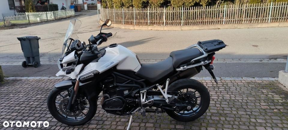 Triumph Tiger