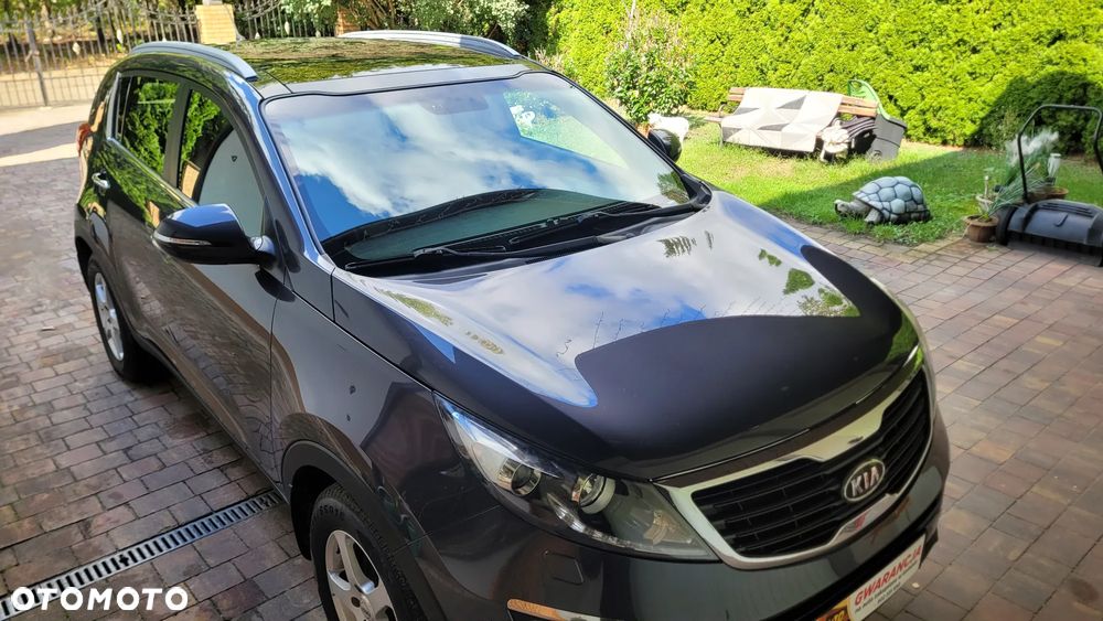Kia Sportage - 36