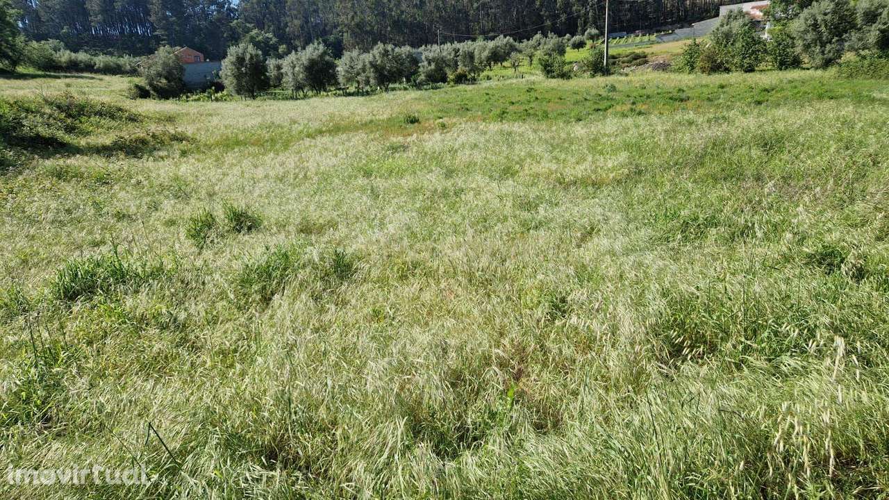 Terreno para construção á venda - Albergaria dos doze - Grande imagem: 4/20