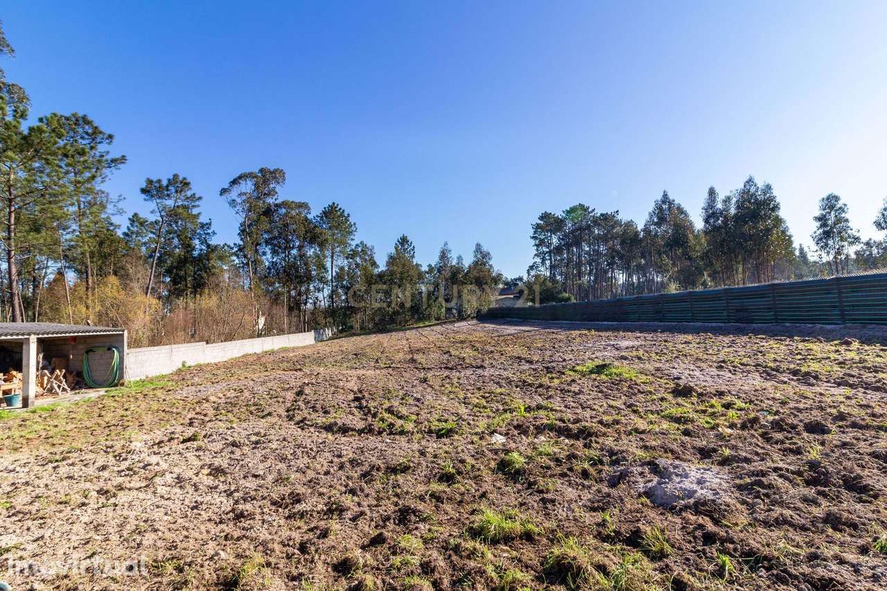 Excelente  Moradia T3+1 - Grande imagem: 4/12