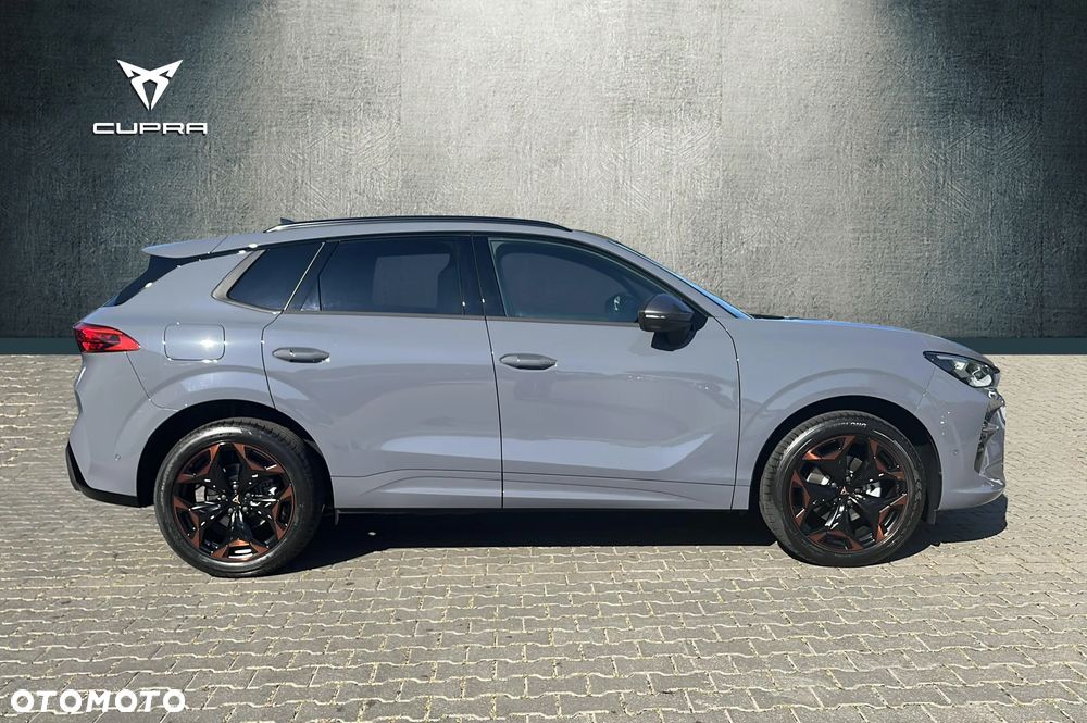 Cupra Terramar - 9