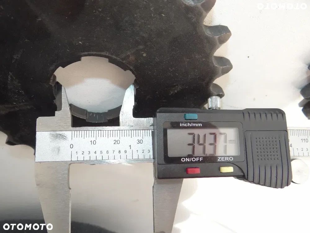 Harley Davidson Shovelhead Panhead zębatka napędowa przód 23 zęby N1571 - 7