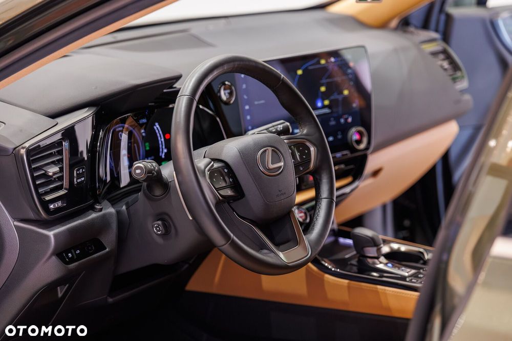 Lexus NX - 29