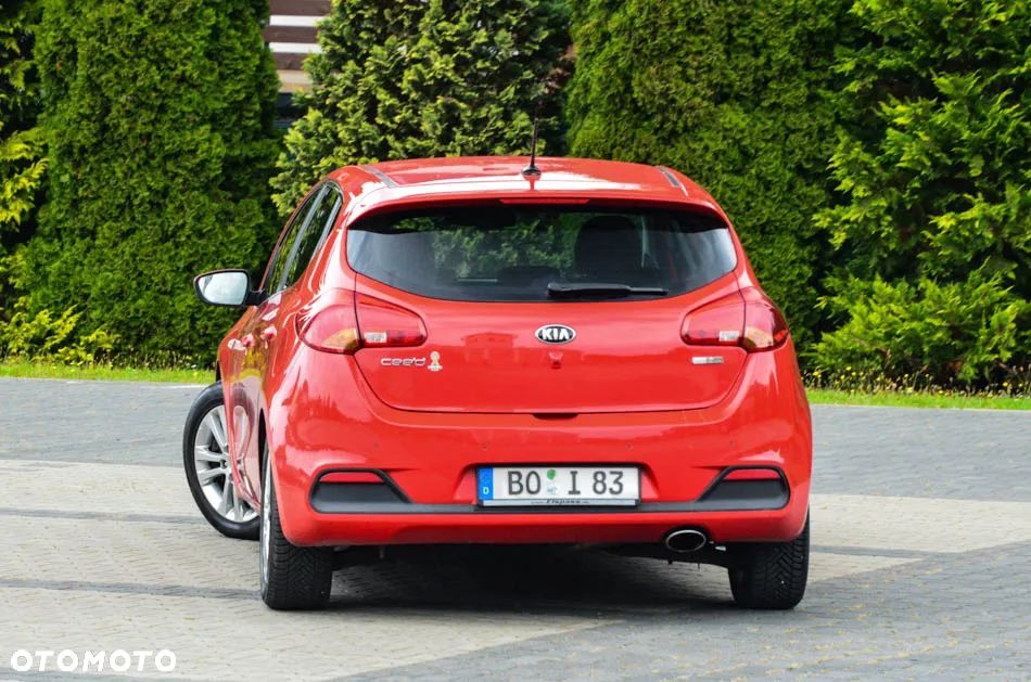 Kia Ceed 1.6 CRDi 128 Fifa World Cup Edition - 13