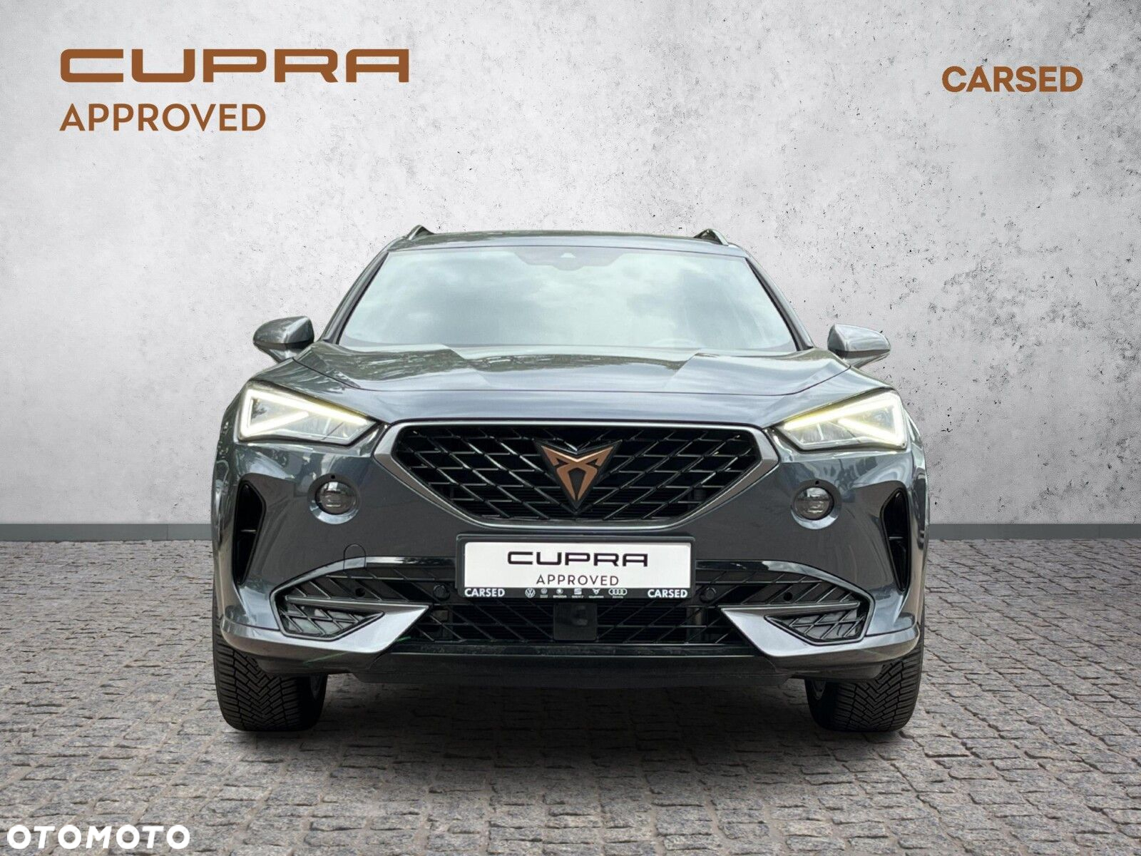 Cupra Formentor 2.0 TSI 4Drive DSG - 8