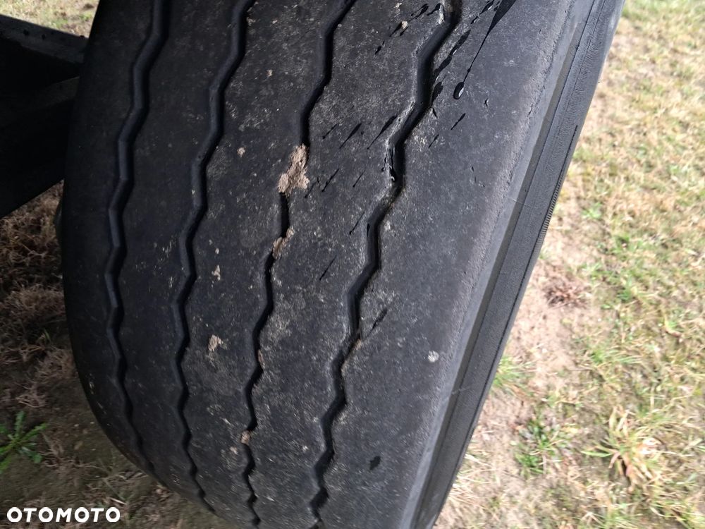 Schmitz Cargobull Chłodnia - 5