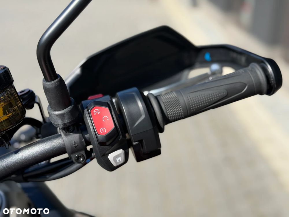 Triumph Tiger - 21