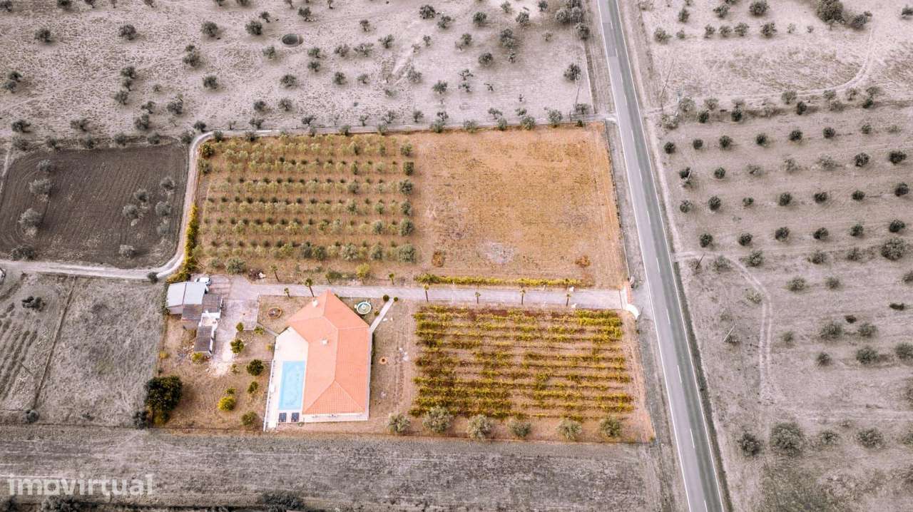 Moradia T4 com piscina, vinha e olival em Reguengos de Monsaraz - Grande imagem: 3/28