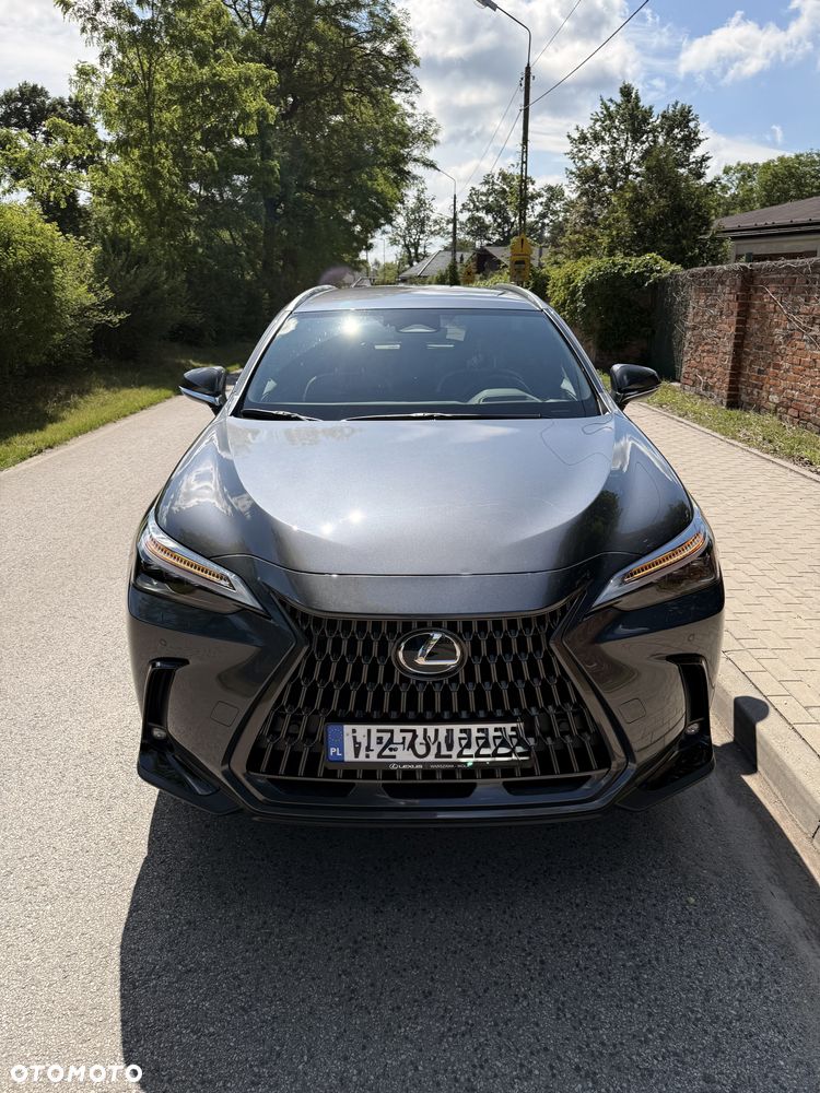 Lexus NX 350h Prestige AWD - 13