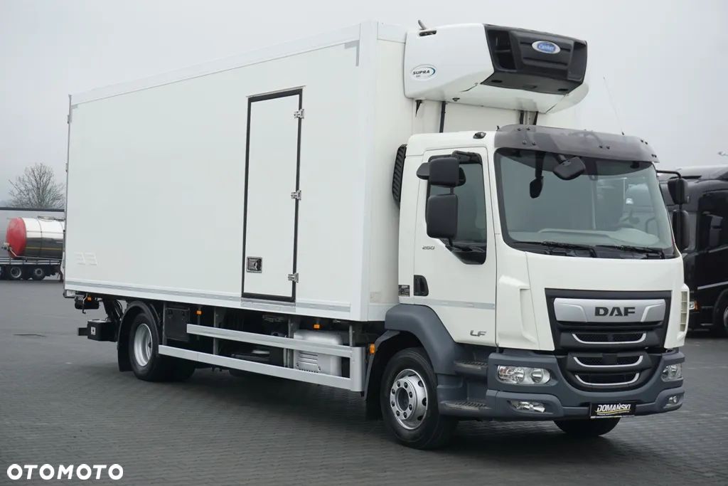 DAF LF / 260 / EURO 6 / CHŁODNIA + WINDA / 17 PALET / ŁAD. 7840 KG - 1