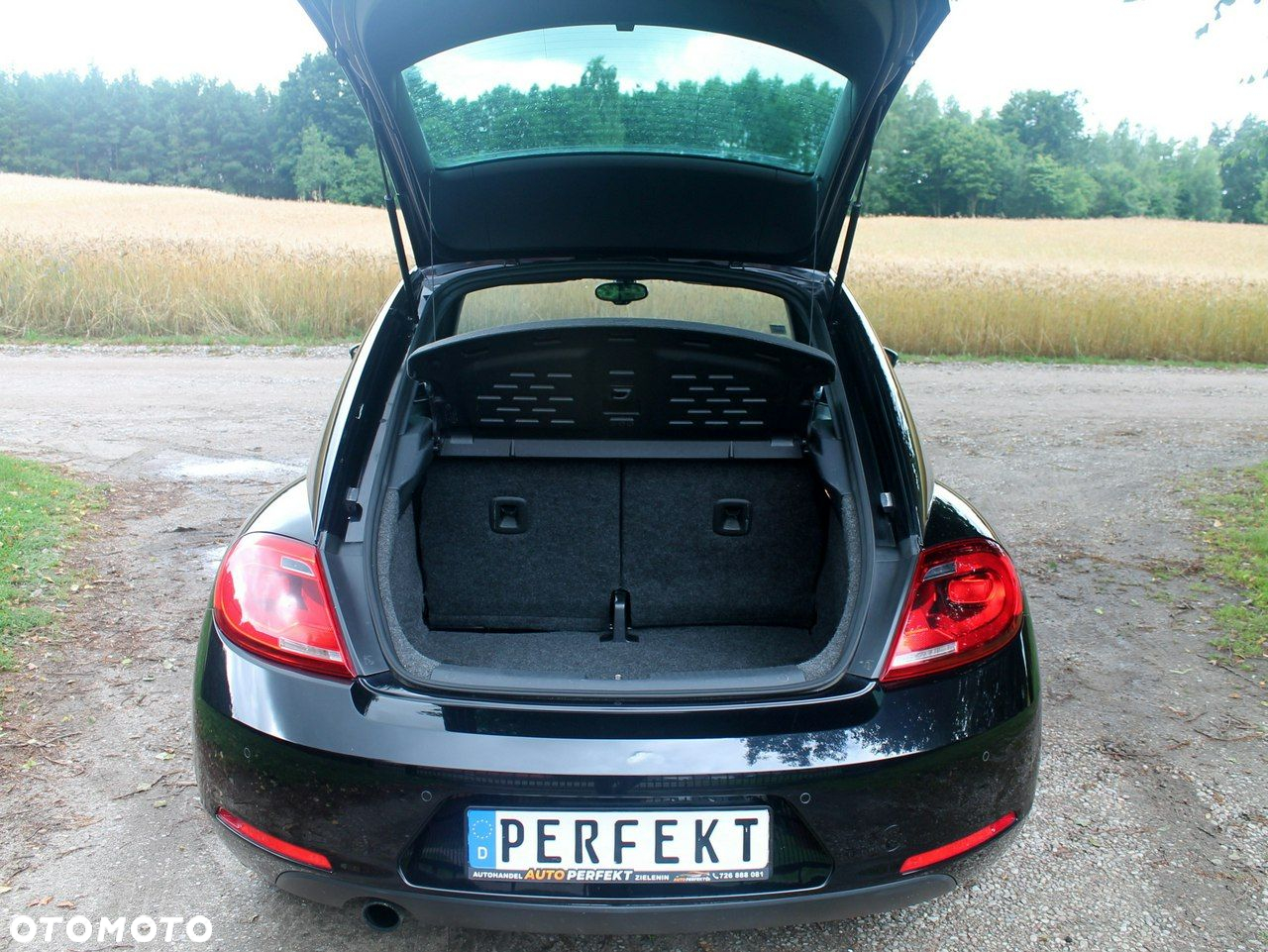 Volkswagen Beetle - 25