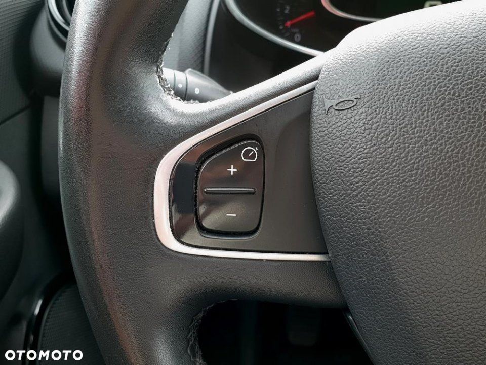 Renault Clio - 14