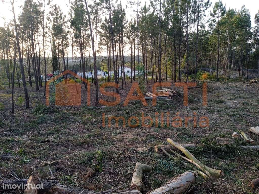 Terreno para Construção | Janardo - Leiria - Grande imagem: 5/12