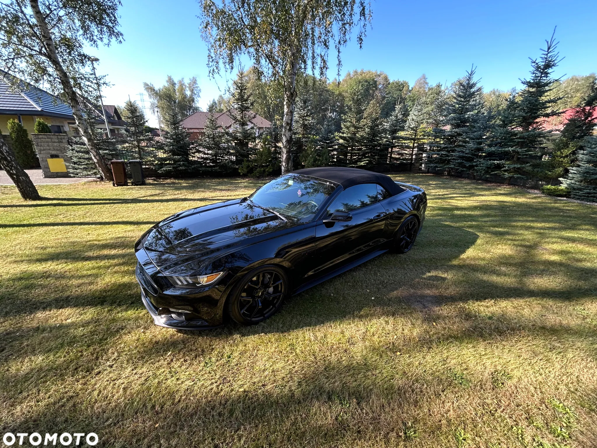 Ford Mustang - 4