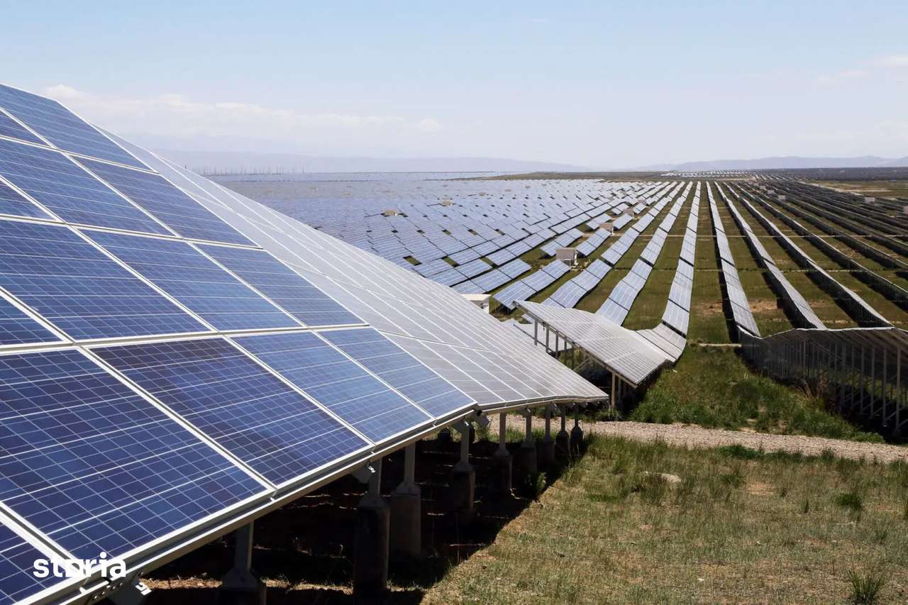 Teren 22.400 mp - Ideal Fotovoltaic - Deschidere Mare - 0% Comision - Imagine principală: 4/6