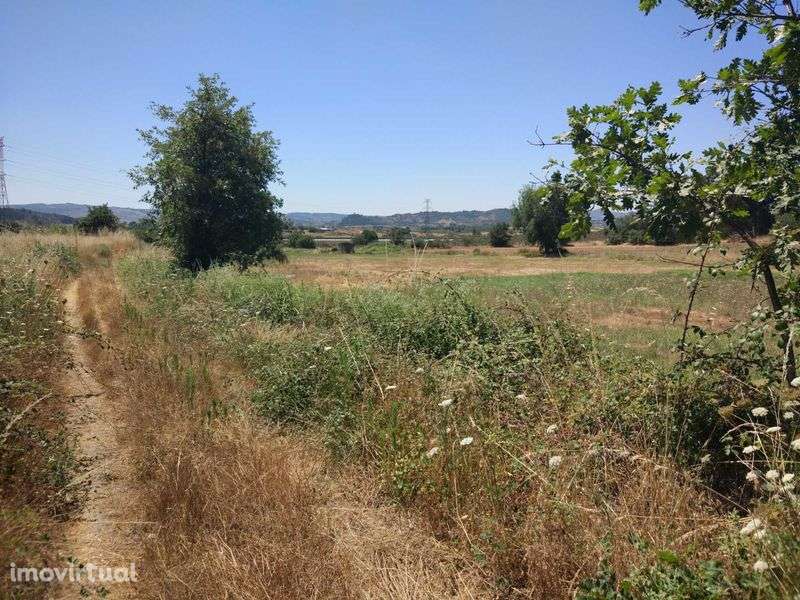Quinta em terreno rústico 5 ha Belmonte Gare - Grande imagem: 2/12
