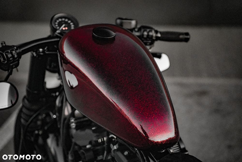Harley-Davidson Sportster Forty-Eight - 7