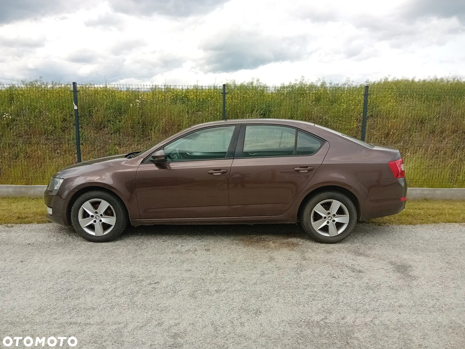 Skoda Octavia 2.0 TDI Ambition - 13