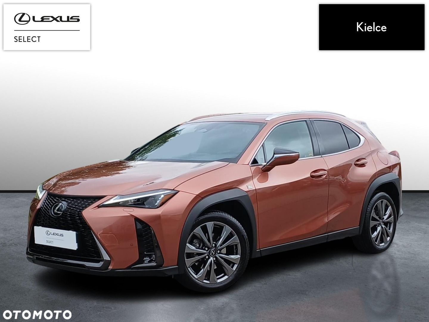 Lexus UX 300h F Sport Design - 1