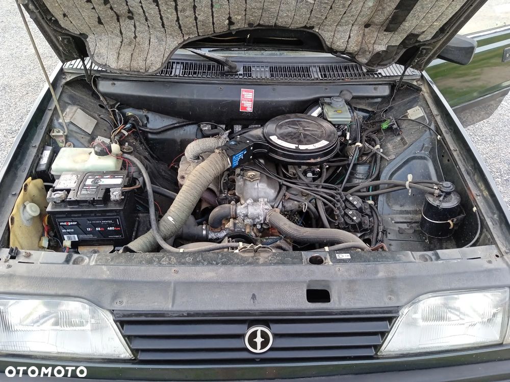 Polonez Caro - 19