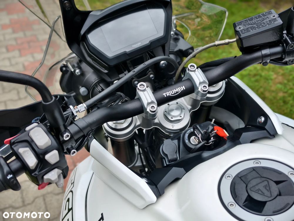 Triumph Tiger - 25