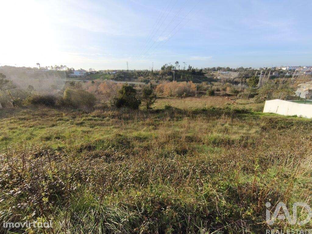 Terreno para construção em Batalha - Grande imagem: 4/26