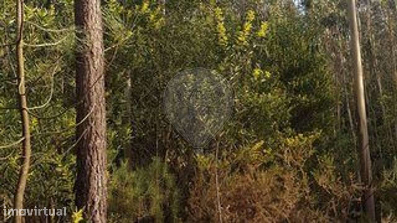 Terreno  para venda - Grande imagem: 3/3