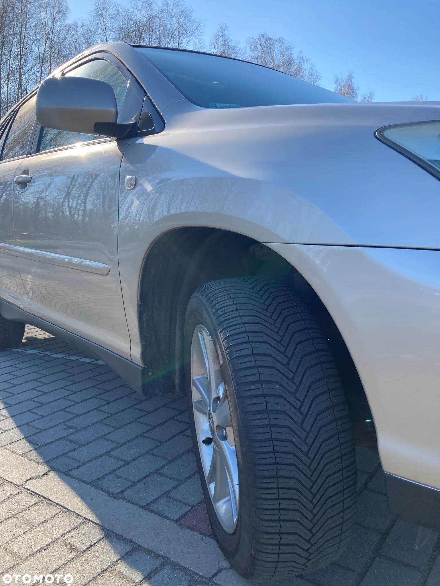 Lexus RX 400h Classic - 24