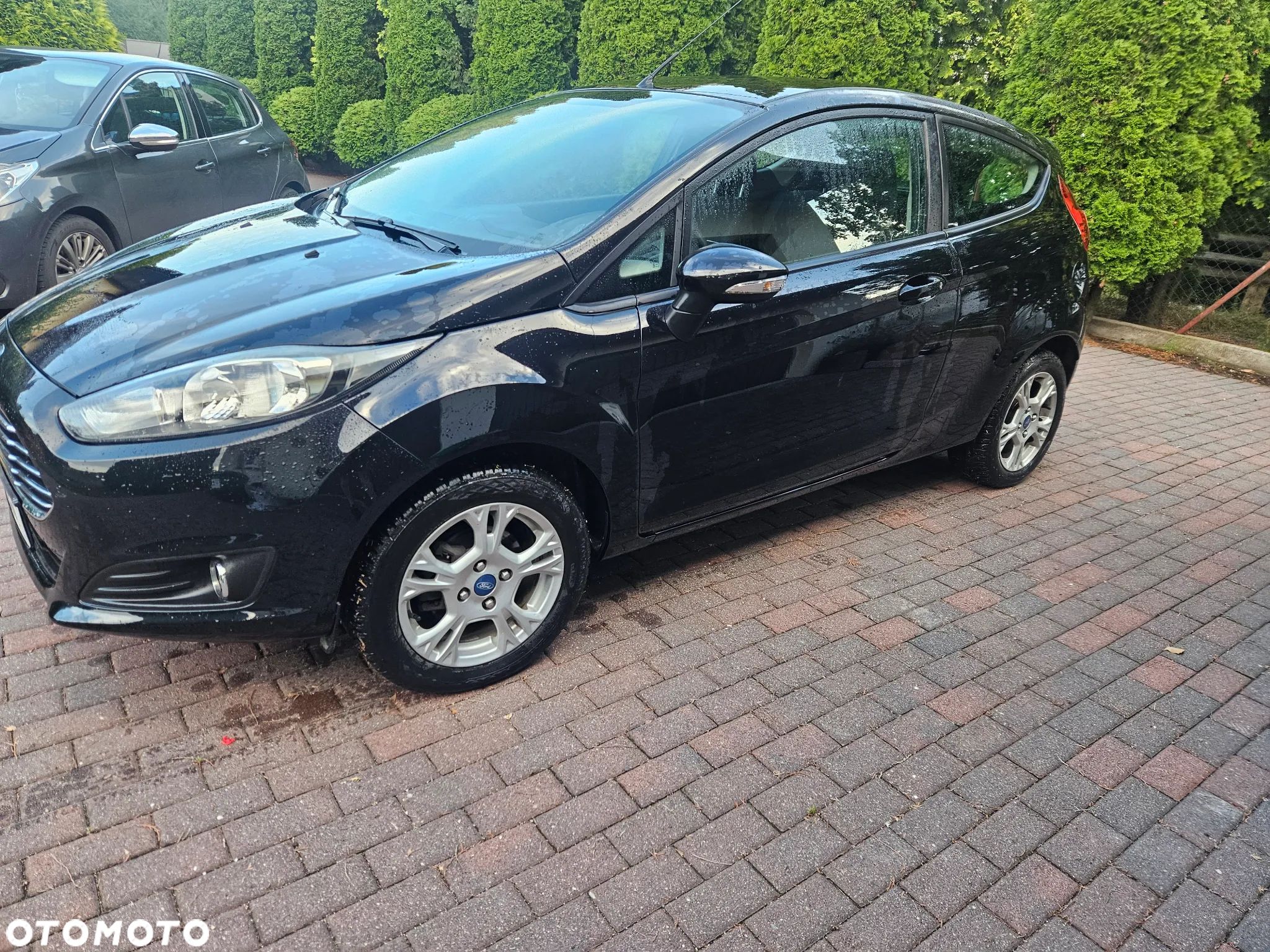Ford Fiesta - 1