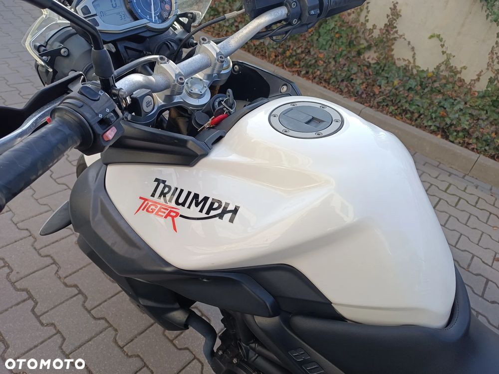Triumph Tiger - 14