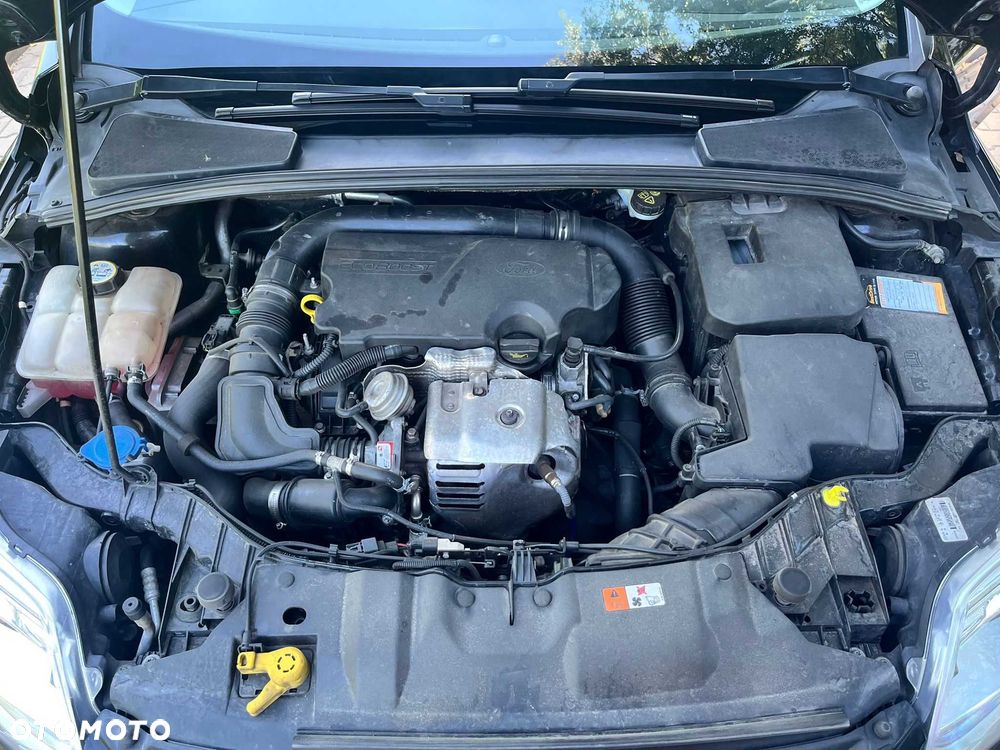 Ford Focus - 8